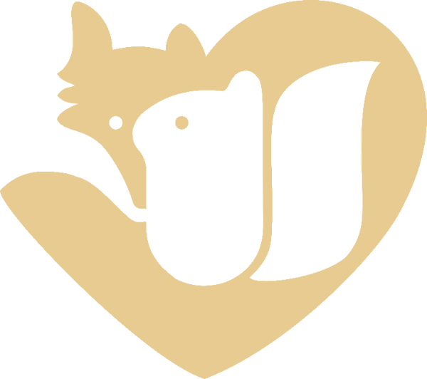 Wolf & Squirrel